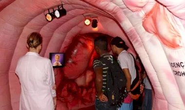 Exposição em Rio Preto leva visitantes a 'passeio' por intestino grosso de 20 metros