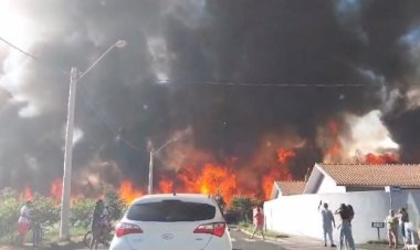 Incêndio atinge canavial de Tanabi e fogo se aproxima de residências