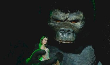 Incêndio interrompe apresentações do Circo Stankowich em Rio Preto