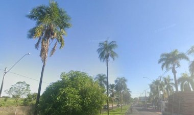 Motociclista é internado em estado grave após bater contra coqueiro em Rio Preto