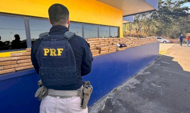 PRF apreende 150 kg de maconha entre a BR-153 e Washington, em Rio Preto