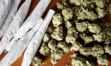 Vereadora quer proibir uso de maconha em espaços públicos de Votuporanga