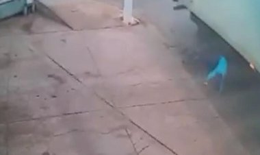 Ciclista se desequilibra e escapa de ser atropelado por caminhão em Cedral