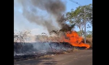 Homem é detido após atear fogo em vegetação em Rio Preto