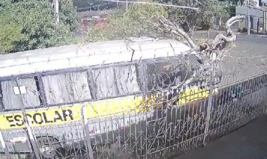 Ônibus escolar bate contra árvore no bairro Eldorado, em Rio Preto