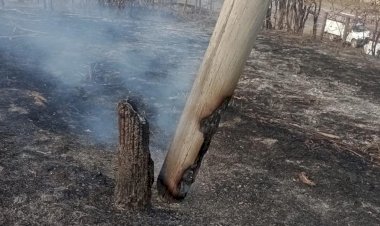 Queimadas e incêndios afetam sistema elétrico na região de Rio Preto