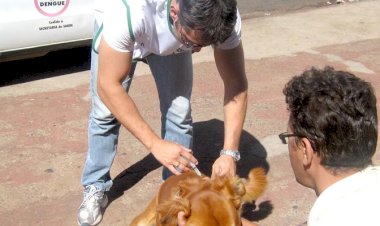 Centro de Zoonoses promove vacinação antirrábica no sábado em Rio Preto