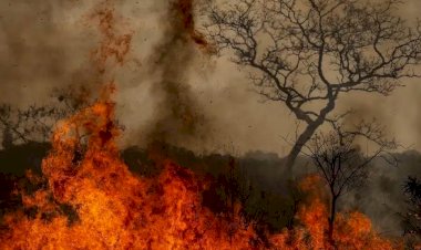 Queimadas em São Paulo: o que se sabe até agora sobre os incêndios