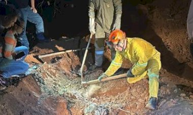 Empresário de Rio Preto e caseiro são investigados por morte de adolescente