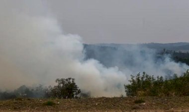 Cinco cidades do estado de São Paulo têm focos de incêndio ativos