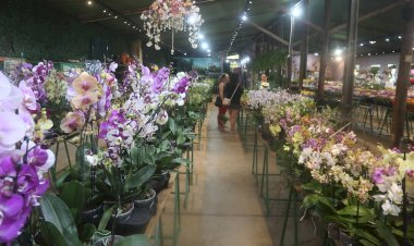 Ceagesp celebra a chegada da primavera com evento especial de três semanas em Rio Preto