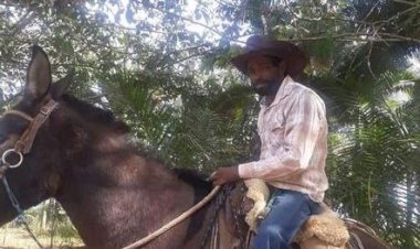 Polícia confirma morte de homem que desapareceu em incêndio em Neves Paulista