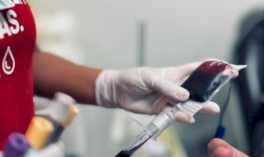 No Dia do Doador de Sangue, Hemocentro de Rio Preto faz alerta sobre queda nas doações