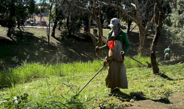 ALERTA  Prefeitura de Rio Preto vai usar drones no combate a dengue
