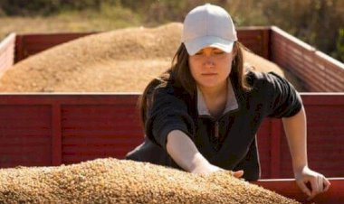 Agronegócio brasileiro empregou 28,4 milhões de pessoas em 2024