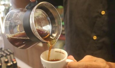 Preço do café dispara com a alta do dólar e questões climáticas