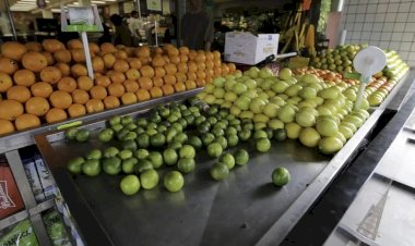 Índice de preços Ceagesp fecha janeiro em queda de 5,52%, puxada por frutas