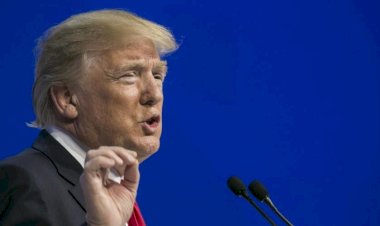 Brasil e Índia podem ser os mais afetados pelas novas medidas de Trump, diz consultoria dos EUA