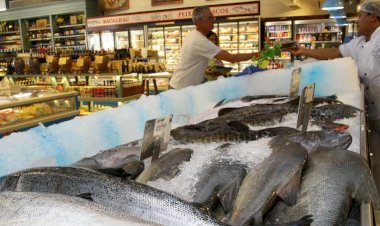 Comerciantes de Rio Preto esperam aumento de 35% nas vendas de pescados na Quaresma