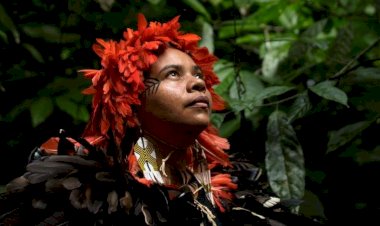 Exposição em Rio Preto apresenta obras que exploram a ancestralidade indígena