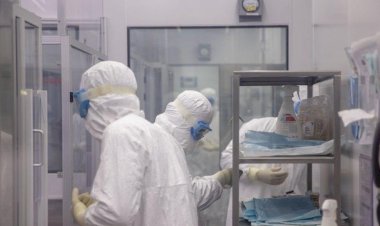 Anvisa aprova primeira vacina contra chikungunya, do Instituto Butantan