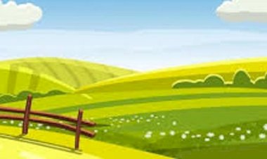 Ministro destaca parceria do Mapa com agricultura familiar e agroindústrias