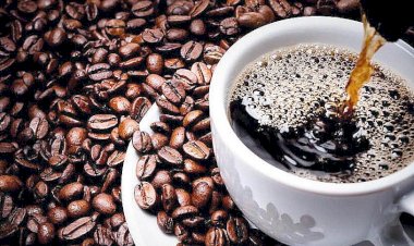 Exportações de café batem recorde e cafezinho segue caro no Brasil