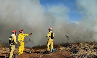 Força-tarefa inicia queima controlada na Floresta Estadual e Estação Ecológica de Rio Preto