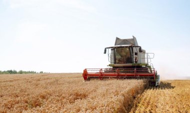Agropecuária fortalece economia da região de Rio Preto