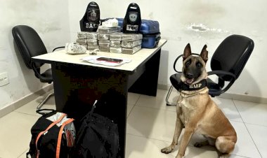 Adolescente é apreendido com 16 tijolos de maconha em ônibus interestadual em Rio Preto
