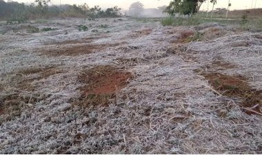 Região de Rio Preto bate recorde de frio no ano