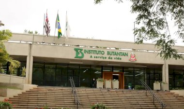 Butantan se prepara para testar vacina contra gripe aviária em humanos