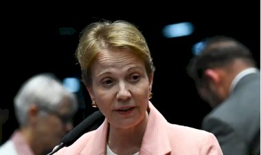 Senadores se reúnem com empresários americanos