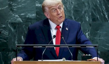 Com aproximação Trump-Lula, B3 renova recordes