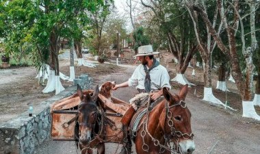 Morador de Orindiúva volta dos EUA para o Brasil montado em uma mula