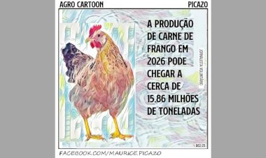 Produção de carne de frango em 2026 pode chegar a cerca de 15,86 milhões de toneladas