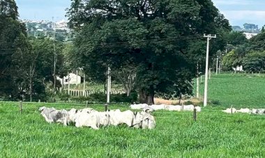 Centro de Pecuária Sustentável