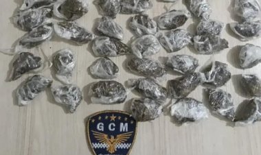 Guarda Municipal apreende droga enterrada em pasto de Rio Preto