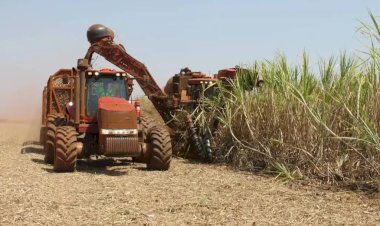 Superávit do agro paulista