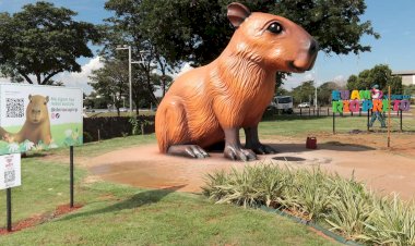 Após reparos, Dona Capi é reaberta vigiada por câmera