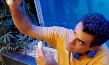 Espetáculo ‘Dentro da Minha Mente’ estreia com narrativa sobre autismo e inclusão