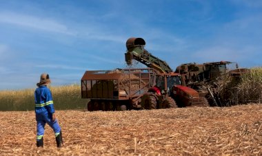 Tereos prevê moagem de 18 mi de toneladas