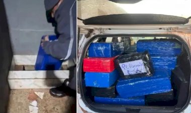 PM de Catiguá encontra 'bunker' em chiqueiro com duas toneladas de maconha