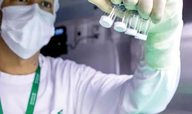 Ministério da Saúde decide suspender preventivamente vacina contra a dengue do Butantan