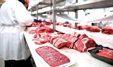 Limite de importação da China afeta frigoríficos e pressiona mercado do boi