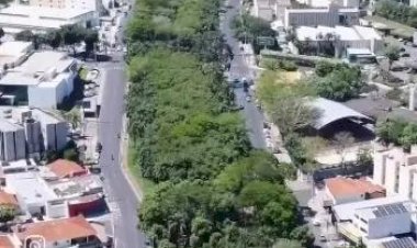 Justiça suspende licitação de obra que prevê derrubada de árvores na Murchid