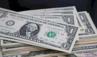 Bolsa brasileira aciona circuit breaker pela primeira vez desde a pandemia e dólar sobe 12%
