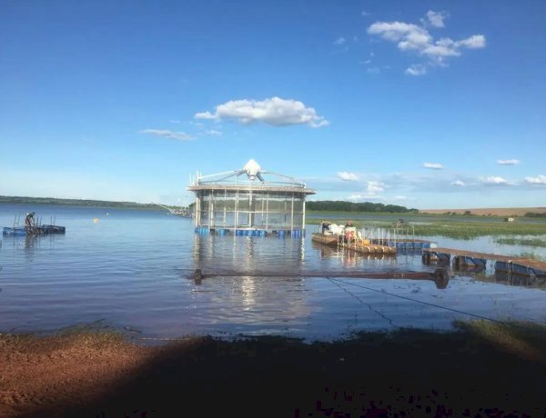 Pesquisa avalia cultivo de tilápia em tanques-rede da região