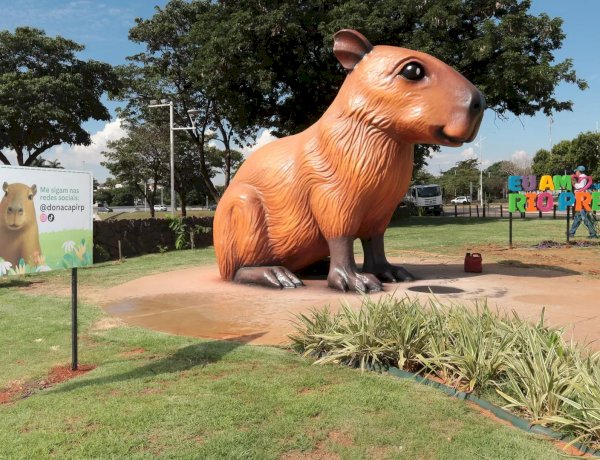 Após reparos, Dona Capi é reaberta vigiada por câmera