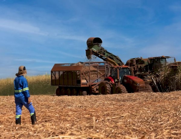 Tereos prevê moagem de 18 mi de toneladas